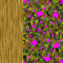 image: this is the texture map for the oak tree model