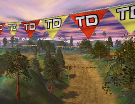 screenshot showing the pennants in the MCM2 game